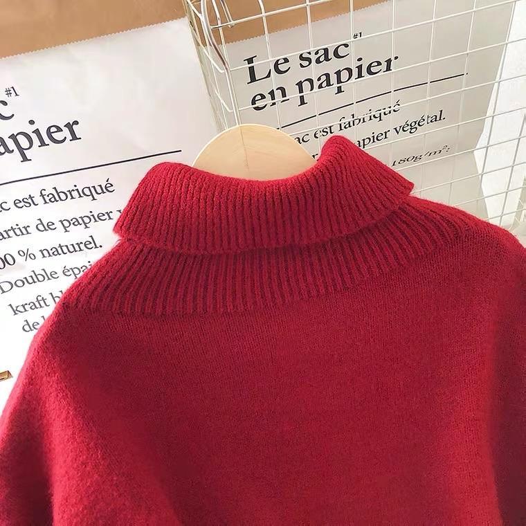 Lepsa Belted Dress / Sweater